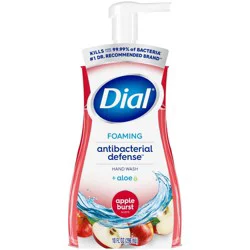 Dial Antibacterial Foam Hand Soap Pump - Apple Burst - 10 fl oz