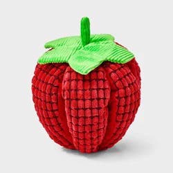 Strawberry with Crinkle Plush Dog Toy - Boots & Barkley™