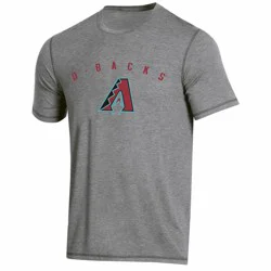 MLB Arizona Diamondbacks Men's Gray Athlete Performance T-Shirt - S