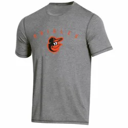 MLB Baltimore Orioles Men's Gray Athletic Performance T-Shirt - S