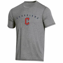 MLB Cleveland Guardians Men's Gray Athletic Performance T-Shirt - XXL