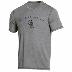 MLB Colorado Rockies Men's Gray Athletic Performance T-Shirt - XL
