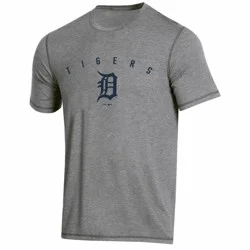MLB Detroit Tigers Men's Gray Athletic Performance T-Shirt - XXL