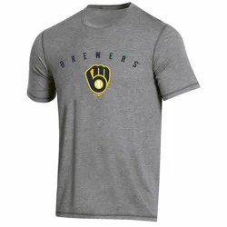 MLB Milwaukee Brewers Men's Gray Athletic Performance T-Shirt - XL