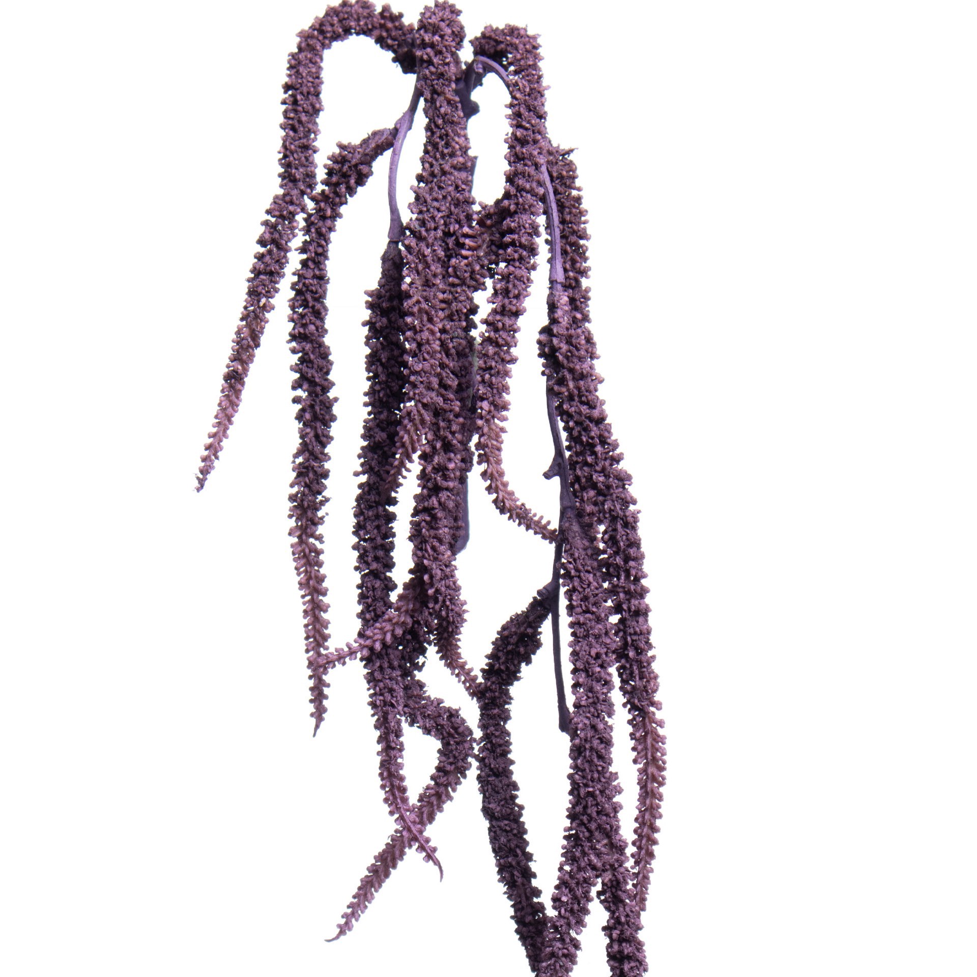 slide 2 of 3, 17" Amaranth Pick By Ashland, 17 in