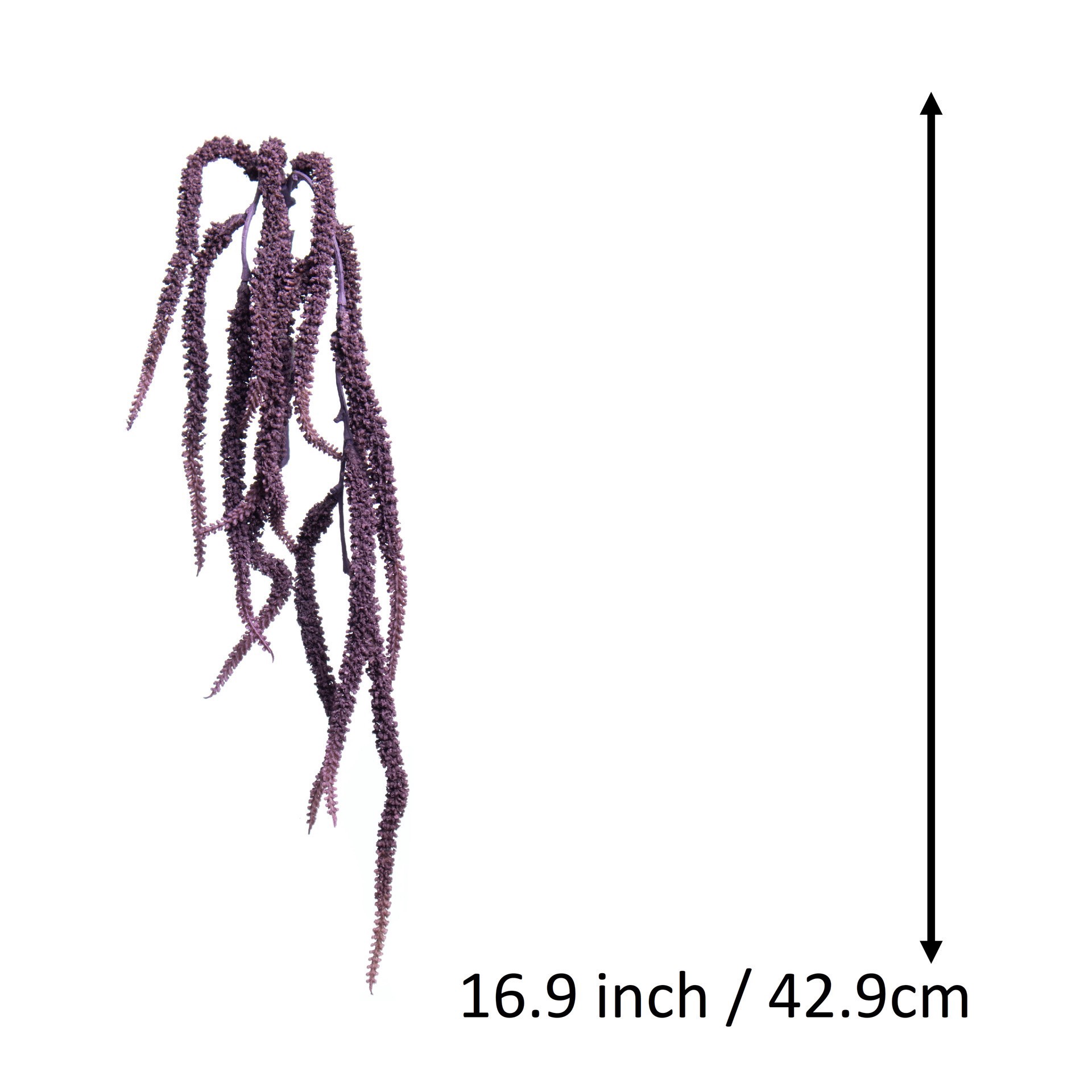 slide 3 of 3, 17" Amaranth Pick By Ashland, 17 in