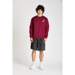NCAA Alabama Crimson Men's Champion White Crew Neck Sweatshirt - XL