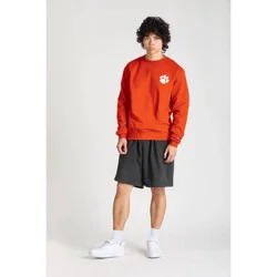 NCAA Clemson Tigers Men's Champion Crew Neck Sweatshirt - M