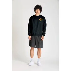 NCAA Iowa Hawkeyes Men's Champion Crew Neck Sweatshirt - XL
