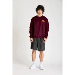 NCAA Minnesota Golden Gophers Men's Champion Crew Neck Sweatshirt - XL