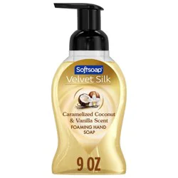 Softsoap Velvet Silk Caramelized Coconut & Vanilla Foaming Hand Soap - 9 fl oz: Plastic Pump, Foam Form