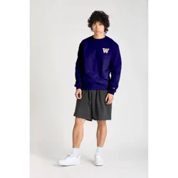 NCAA Washington Huskies Men's Champion Crew Neck Sweatshirt - S
