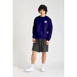 NCAA Washington Huskies Men's Champion Crew Neck Sweatshirt - S