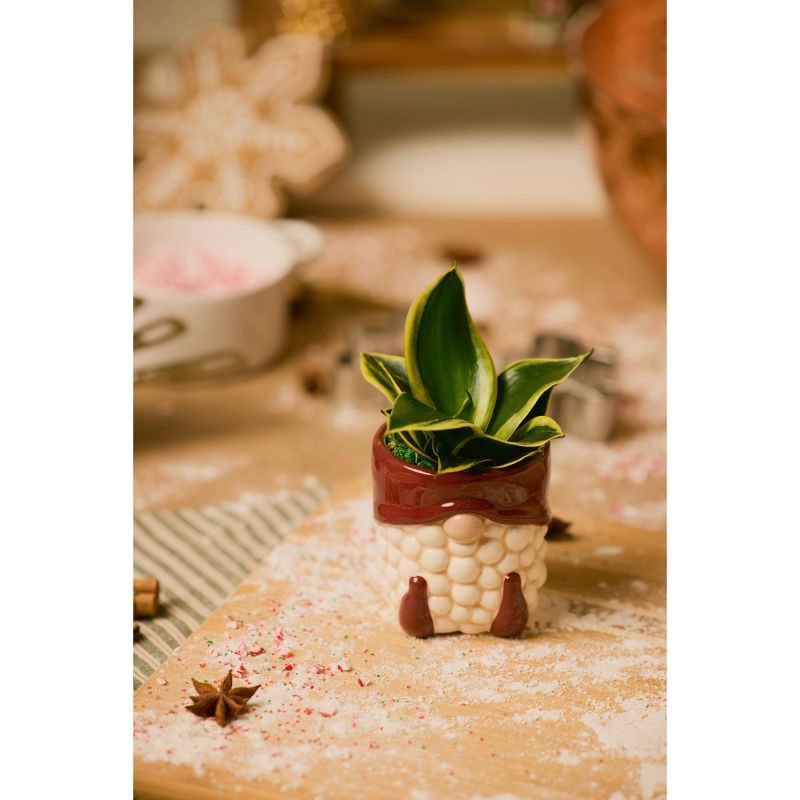 slide 3 of 3, LiveTrends Merry Makers, 1 ct