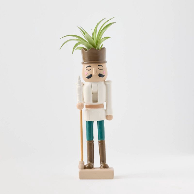 slide 2 of 9, Christmas Merry Cadet Live Plant(It May Vary) - Good Little Garden™, 1 ct