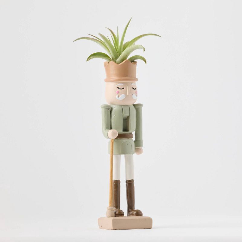 slide 4 of 9, Christmas Merry Cadet Live Plant(It May Vary) - Good Little Garden™, 1 ct