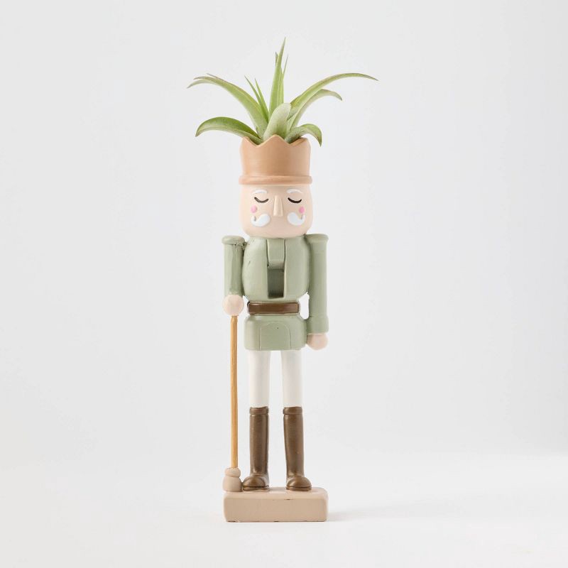 slide 5 of 9, Christmas Merry Cadet Live Plant(It May Vary) - Good Little Garden™, 1 ct