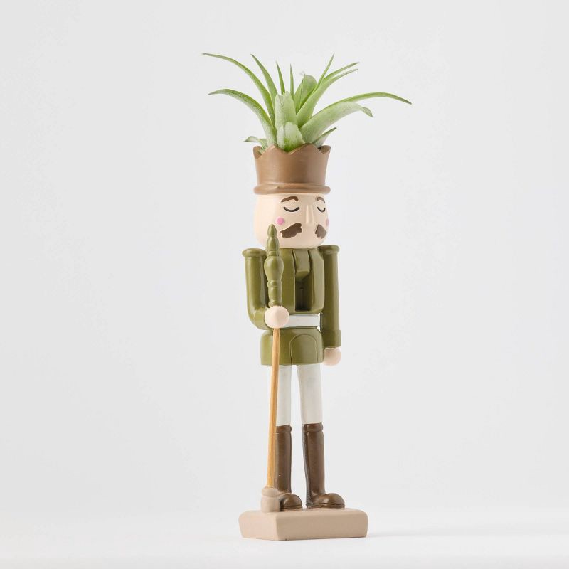 slide 7 of 9, Christmas Merry Cadet Live Plant(It May Vary) - Good Little Garden™, 1 ct