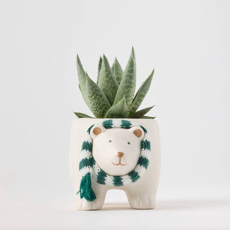 slide 2 of 6, Holiday Polar Pals Live Plant(It May Vary) - Good Little Garden™, 1 ct