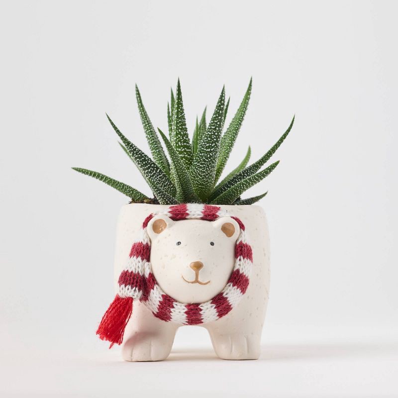slide 5 of 6, Holiday Polar Pals Live Plant(It May Vary) - Good Little Garden™, 1 ct