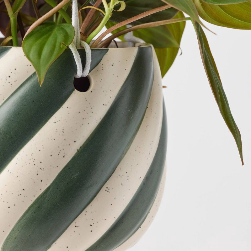 slide 2 of 9, Holiday Sweet Treat Live Plant(It May Vary) - Good Little Garden™, 1 ct