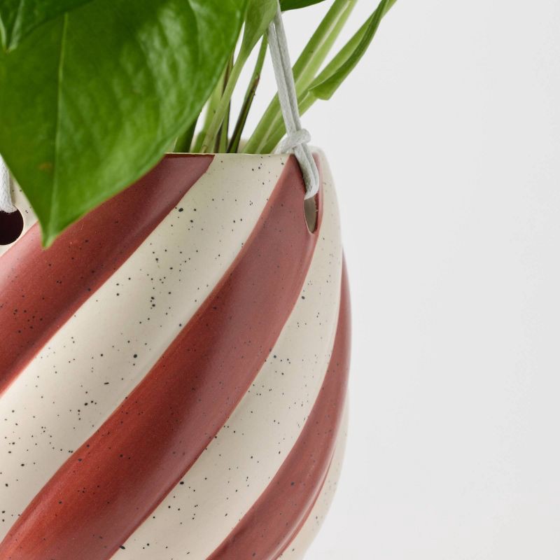 slide 5 of 9, Holiday Sweet Treat Live Plant(It May Vary) - Good Little Garden™, 1 ct