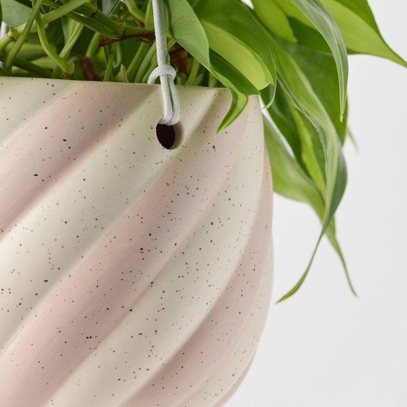 slide 8 of 9, Holiday Sweet Treat Live Plant(It May Vary) - Good Little Garden™, 1 ct