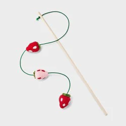 Strawberries Wand Cat Toy - Boots & Barkley™