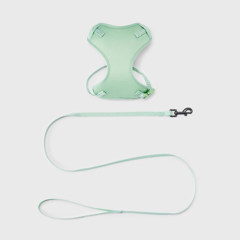 slide 1 of 3, Tether Cat Leash and Harness Set - 48" - XS - Light Green - Boots & Barkley™, 1 ct