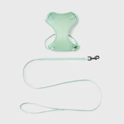 Tether Cat Leash and Harness Set - 48" - XS - Light Green - Boots & Barkley™