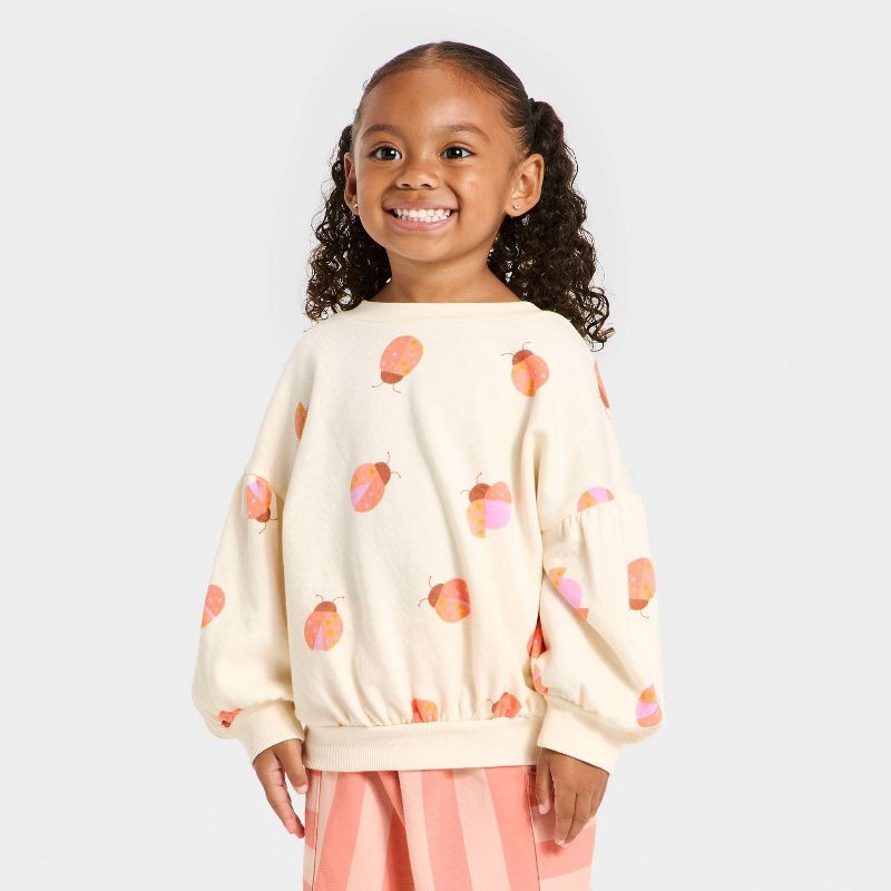 slide 3 of 4, Toddler Girls' Lady Bug Pullover Sweater and Pull-On Pants Set - Cat & Jack™ Pink 2T, 1 ct