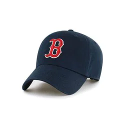 MLB Youth Clean Up Boston Red Sox