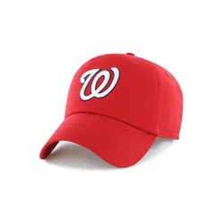 MLB Youth Clean Up Washington Nationals