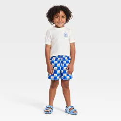 Toddler Boys' Sunset Check Rash Guard Set - Cat & Jack™ Blue 18M