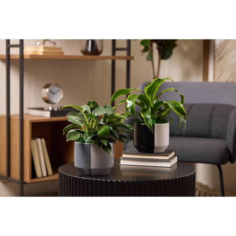 slide 2 of 2, LiveTrends Daguerre, 1 ct