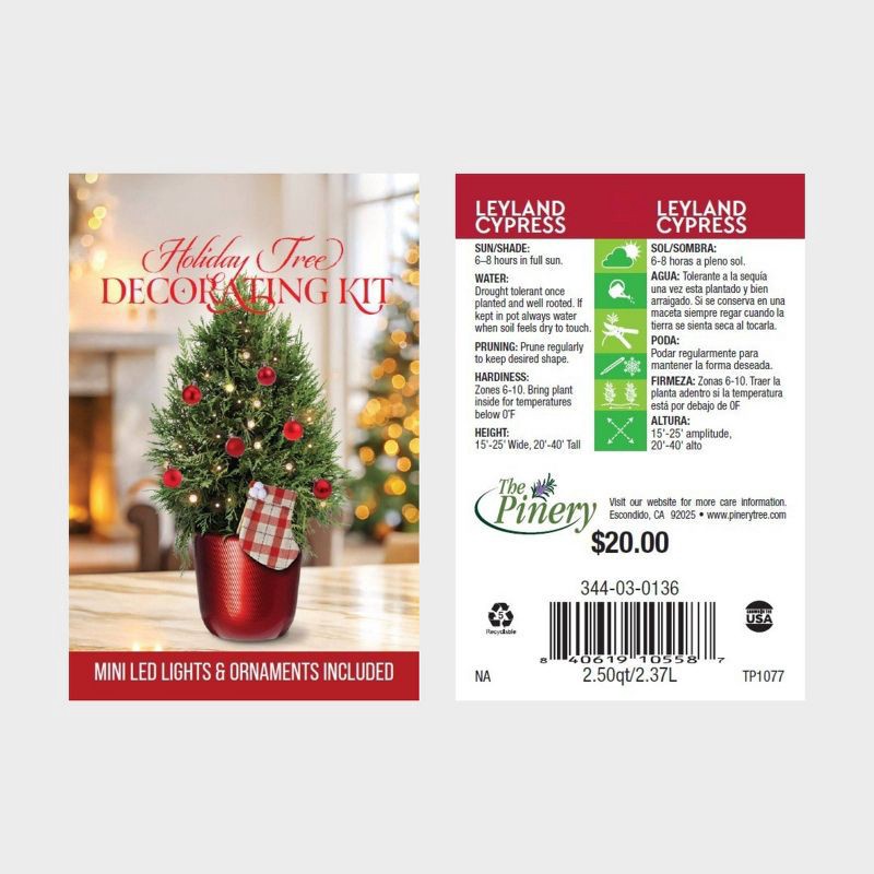 slide 4 of 4, 6.5" Leyland Cypress, 1 ct