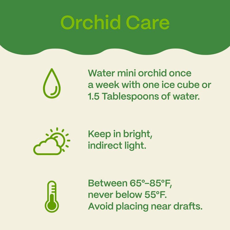 slide 6 of 7, 2" Valentine's Day Heart Orchid Pink/Purple - Good Little Garden™, 1 ct