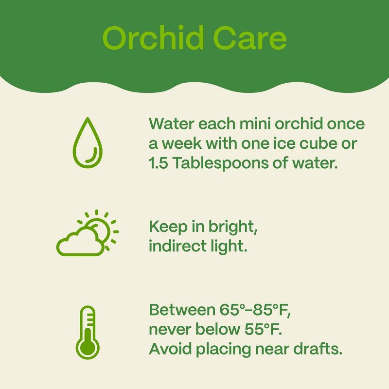 slide 6 of 7, 2" Valentine's Day Heart Orchid White - Good Little Garden™, 1 ct