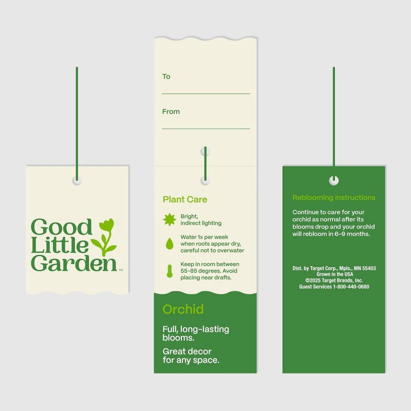 slide 7 of 7, 2" Valentine's Day Heart Orchid White - Good Little Garden™, 1 ct