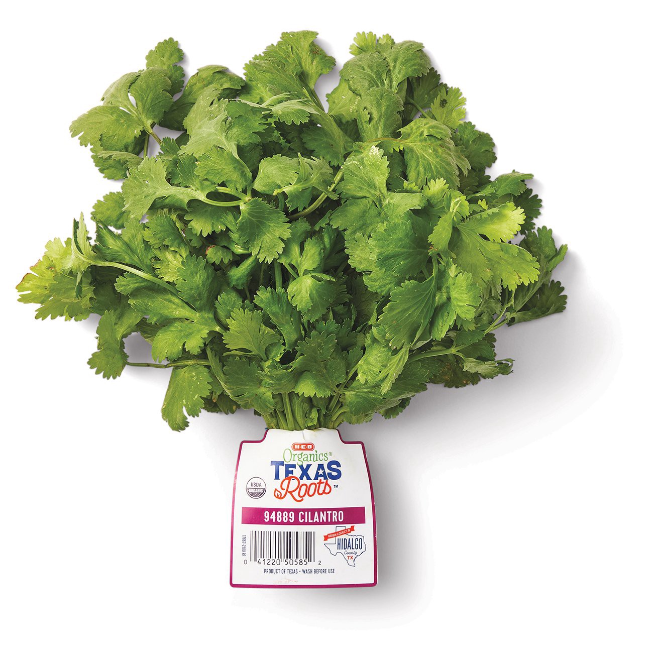 slide 1 of 1, H-E-B Texas Roots Fresh Organic Cilantro, 1 ct