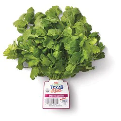 H-E-B Texas Roots Fresh Organic Cilantro