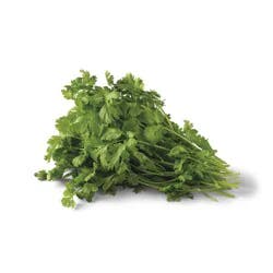Fresh Organic Cilantro