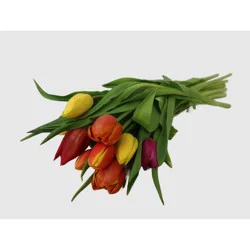 10 Stem Cut Fall Rainbow Tulips - Good Little Garden™