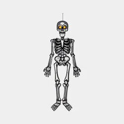 50"x14.5" Skeleton and Bone Large Paper Wall Décor - Hyde and EEK! Boutique™: Halloween