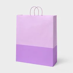 XL Value Basics Color Block Gift Bag Purple - Spritz™