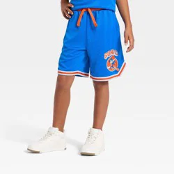Boys' Sonic the Hedgehog Basketball Mesh Shorts - Blue XL