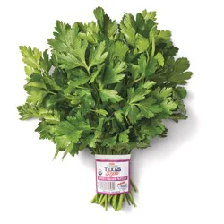 H-E-B Texas Roots Fresh Organic Italian Parsley