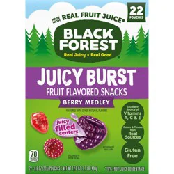 Black Forest Fruit Snacks Berry Medley Fruit Snacks - 17.6oz/22ct
