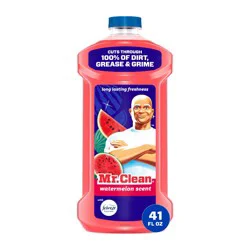 Mr. Clean Watermelon All-Purpose Floor Cleaning Liquid - 41 fl oz