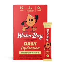 Waterboy Daily Hydration Dietary Supplement Powder - Tropical Snowcone - 12pk